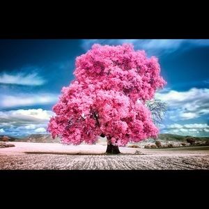 Meet your Posher, Lu